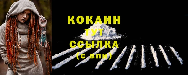 сатива Медвежьегорск