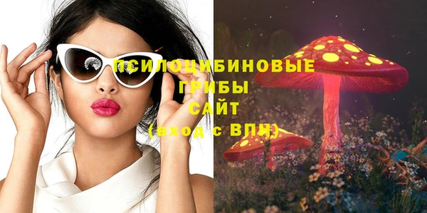 сатива Медвежьегорск