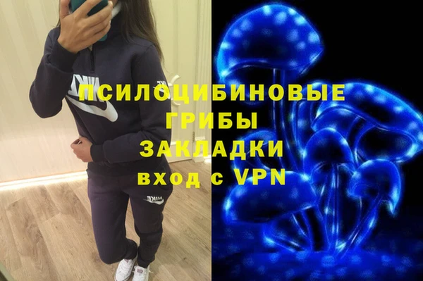 сатива Медвежьегорск